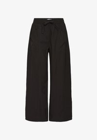 Sélectionné, meteorite