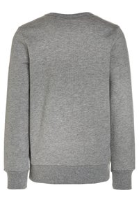 Felpa grigia con scollo rotondo, polsini e orlo a costine. Il tessuto ha una texture morbida e una finitura liscia.