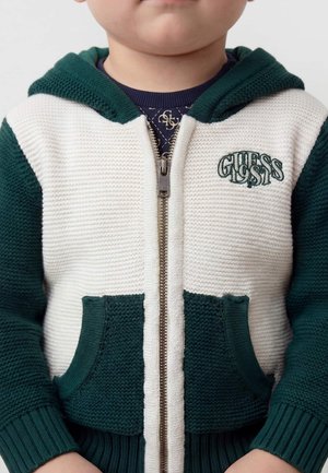 Guess, KAPUZENSWEATSHIRT MIT BESTICKTEM LOGO - Ζακέτα - mehrfarbig, grün