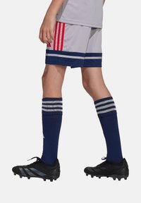 adidas Performance SQUADRA YOUTH - Shorts - graublau