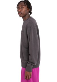 Grauer Baumwoll-Sweatshirt mit einer lockeren Passform, gerippten Bündchen und Halsausschnitt. Getragen mit leuchtend pinken Shorts, die einen Farbkontrast zeigen.