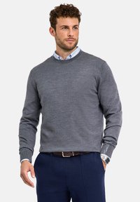 Maglione grigio a maglia con girocollo e maniche lunghe, indossato sopra una camicia azzurra a collo, abbinato a pantaloni blu scuro.