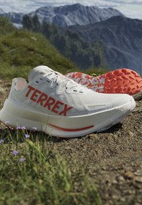 Białe buty do biegania w terenie z czerwonym logo "TERREX" i pomarańczową podeszwą, umieszczone na skalistym terenie z górami i zielenią w tle.