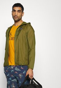 Patagonia HOUDINI  - Corta-vento - palo green