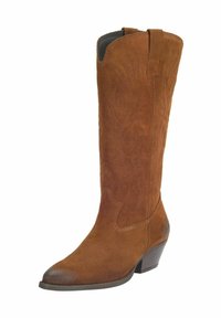 Stivale da cowboy in suede marrone con punta affusolata, cuciture decorative e tacco impilato. Presenta linguette laterali e una finitura liscia e texture.