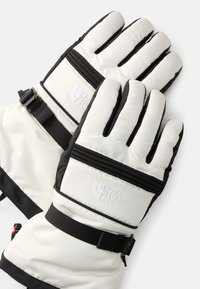 The North Face MONTANA SKI GLOVE - Pirštinės - white dune