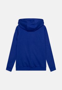 Sudadera azul hecha de una suave mezcla de algodón. Presenta una gran capucha, mangas largas y un dobladillo acanalado. Diseño sencillo en un color sólido.