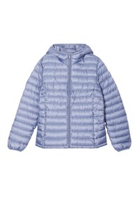 Chaqueta de invierno - blue grey
