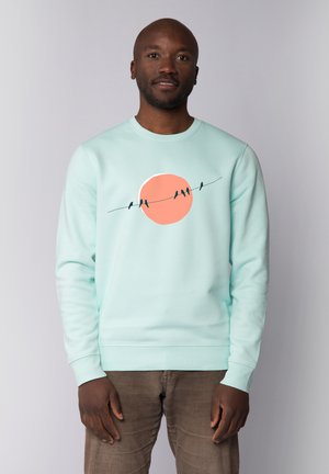 Mint green sweatshirt featuring a graphic of birds on a wire against a coral circle. Soft fabric, ribbed cuffs and hem.