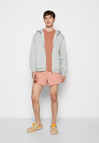 Weekday STANDARD ZIP HOODIE - Camisola com fecho - light green/blue