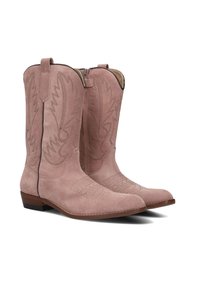 Suede cowboy boots in dusty pink with intricate stitching and a pointed toe. Features a low stacked heel and side pull tabs.