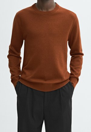 Mężczyzna w rdzawej bluzie z okrągłym dekoltem i długimi rękawami oraz czarnych plisowanych spodniach, ręce w kieszeniach, na tle jednolitego jasnego tła.