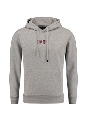 DARK VALLEY - Kapuzenpullover - grey mel
