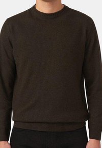 Oscar Jacobson VALTER - Strickpullover - green gentile