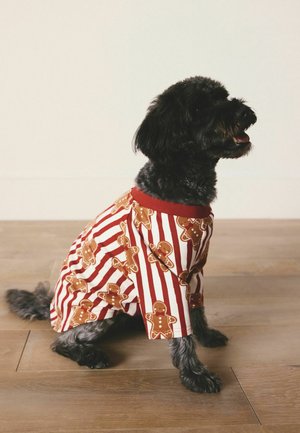 Next, REGULAR FIT - MATCHING FAMILY CHRISTMAS COSY PET PYJAMAS - Accessorio per animali - red gingerbread man