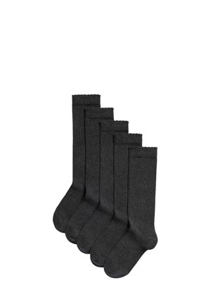 5 PACK KNEE HIGH - Knæstrømper - grey