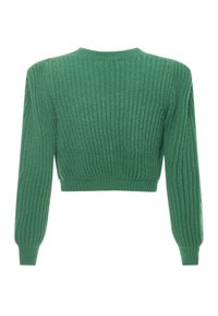Maglione verde a maglia con texture a costine, design cropped, maniche lunghe e scollatura tonda. Il tessuto ha un aspetto morbido e accogliente.