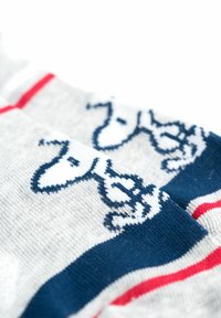 Calzini grigi con una grafica bianca di un cane, accentuati da strisce blu e rosse nella parte superiore. Texture morbida e lavorata a maglia.