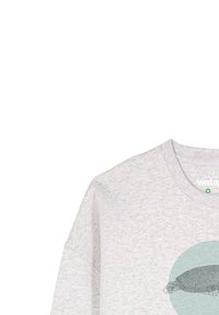 Lichtgrijze sweatshirt met een ronde teal grafiek van een schildpad. Heeft een geribbelde kraag, een relaxte pasvorm en zachte, gestructureerde stof.