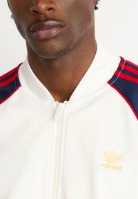 Balta užtrauktuku užsegama striukė su raudonais ir mėlynais dryželiais, kairėje krūtinės pusėje puikuojasi auksinė siuvinėta Adidas logotipas. Lygus audinio tekstūros paviršius.