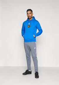 Modrá mikina s kapucňou a predným vreckom s čiernym emblémom. Sivé tepláky s bielymi pruhmi a čierne športové topánky.