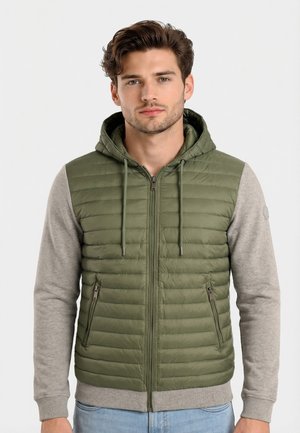 Man met kort bruin haar, dragend een groene doorgestikte mouwloze hoodie en een lichtgrijs shirt met lange mouwen, staand tegen een witte achtergrond.