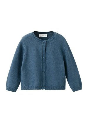 Cardigan bleu tricoté à manches longues avec boutons, bordures côtelées aux poignets, à l'ourlet et à l'encolure, présenté sur un fond blanc.