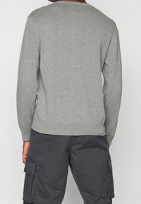 Replay Maglione - mottled grey