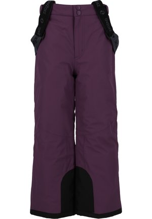 PROVO PRO - Snow pants - purple pennant