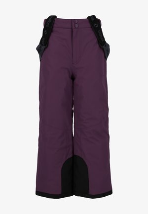 ZIGZAG PROVO PRO - Talvihousut - purple pennant