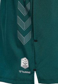 Teal sportshirt gemaakt van gladde stof, met witte chevronpatronen aan de zijkant, een zwart knoopdetail en een zilveren logo aan de zoom.