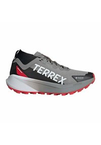 Chaussure de course grise avec logo "TERREX" blanc, marquage GORE-TEX, accents rouges, tige texturée et semelle épaisse avec absorption des chocs et semelle en caoutchouc.