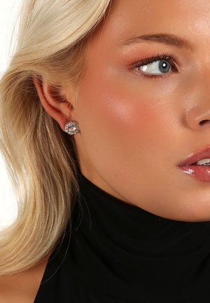 Runda, glittrande studörhängen med en klar sten omgiven av en silverfärgad metallram, bärs av en modell med blont hår.
