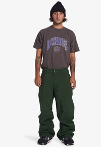 Gray t-shirt with purple "DC Shoes" logo, green pants, and black sneakers. The outfit features relaxed fit and casual style details.