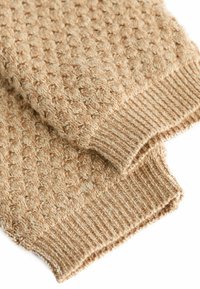 Next REGULAR FIT - Cardigan - tan brown cherry embroidered