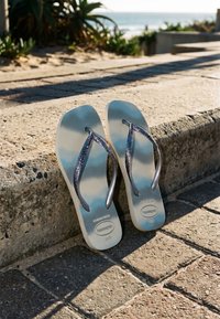 Paire de tongs Havaianas bleu clair reposant sur une marche en pierre ensoleillée près d'une plage avec des plantes et l'océan en arrière-plan.