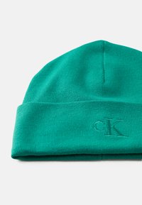 Green knitted beanie with a folded cuff, featuring a subtle embroidered "CK" logo. Soft texture, compact shape, and a seamless crown design.