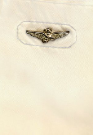AERONAUTICA MILITARE, BERMUDA - Shorts - beige