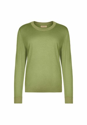 Hellgrüner Pullover mit Rundhalsausschnitt und langen Ärmeln, mit gerippten Bündchen, Saum und Ausschnitt, auf weißem Hintergrund dargestellt.