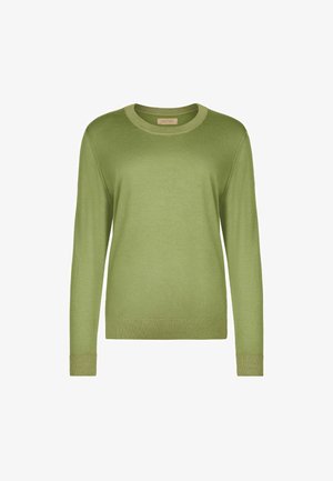 Hellgrüner Pullover mit Rundhalsausschnitt und langen Ärmeln, mit gerippten Bündchen, Saum und Ausschnitt, auf weißem Hintergrund dargestellt.