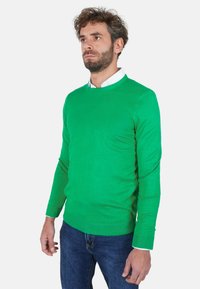 Maglione verde a maglia con scollo tondo e orlo a coste, abbinato a una camicia bianca con colletto e jeans blu. Tessuto liscio.
