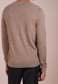 Maglione a maglia marrone con maniche lunghe, scollatura rotonda e orlo a coste. Texture morbida e finitura liscia, vista dal retro.