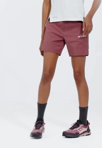 Bermudas marrones hechas de un tejido ligero con un frente plano, bolsillos laterales y un logo de Adidas Terrex. Combinadas con zapatos de senderismo y calcetines oscuros.