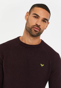 Maglione a maglia borgogna scuro con scollatura rotonda e maniche raglan. Presenta un piccolo logo ricamato giallo sul petto.