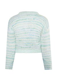 Gekürzter Strickpullover in hellblauen und grünen Tönen, mit einem strukturierten Muster und weiten gerippten Bündchen, sowie einem runden Ausschnitt.