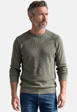 Mann mit grauem Haar und Bart, trägt einen grünen strukturierten Pullover und blaue Jeans, schaut mit neutralem Ausdruck nach rechts.
