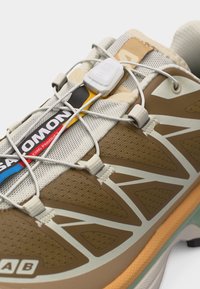 Παπούτσι για τρέξιμο σε μονοπάτια σε καφέ και μπεζ χρώμα με σύστημα γρήγορου δέσιμου, λογότυπο στη γλώσσα και επάνω μέρος από δικτυωτό υλικό με σχέδιο, σε κοντινή λήψη.