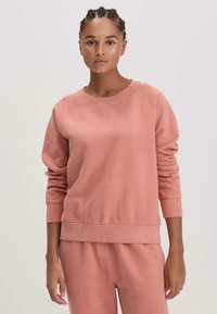 Felpa rosa chiaro realizzata in tessuto morbido, con polsini a coste, collo rotondo e vestibilità rilassata. Texture liscia con dettagli minimi.