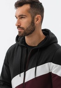 Ombre THREE-COLOR  WITH A HOOD B1419 - Sudadera con cremallera - black