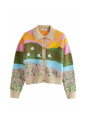 Cardigan - multi-coloured